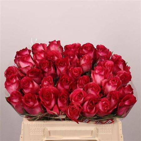 Spray Roses Buttonhole Roses
